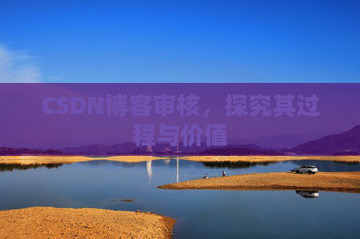 CSDN博客审核,探究其过程与价值
